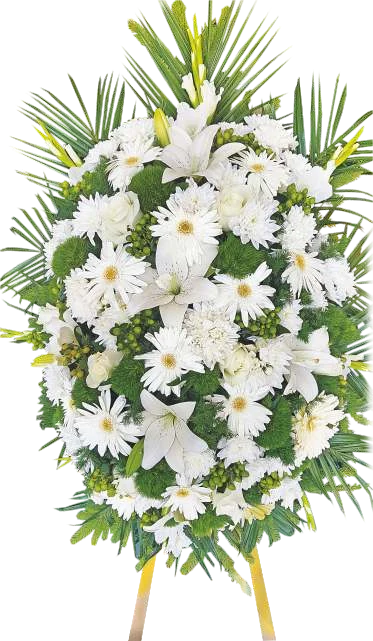 Венец №11
